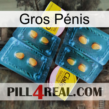Gros Pénis cialis5